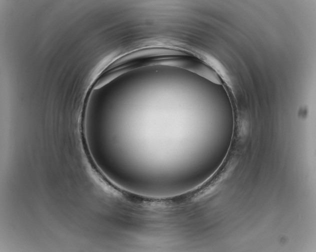X0000094970946200711291500