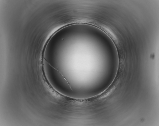 X0000094970948200711291500