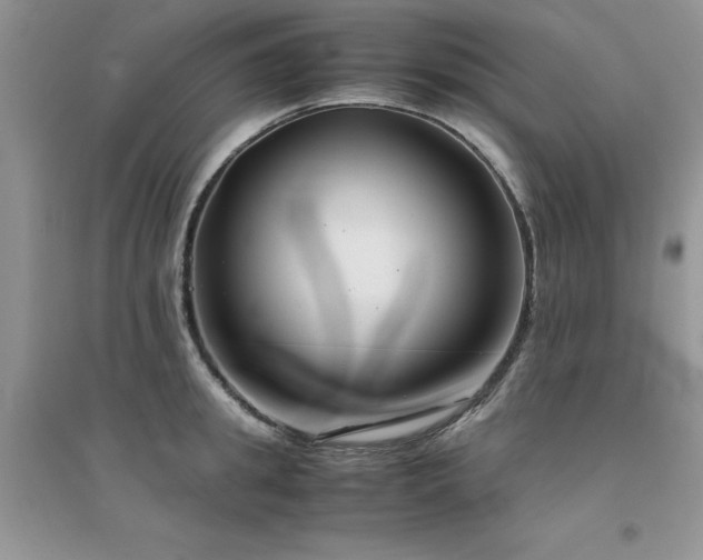 X0000094970949200711291500