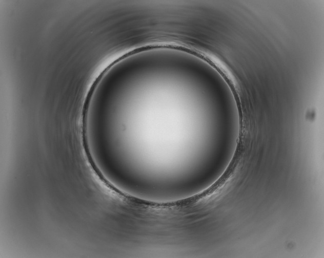 X0000094970951200711291500