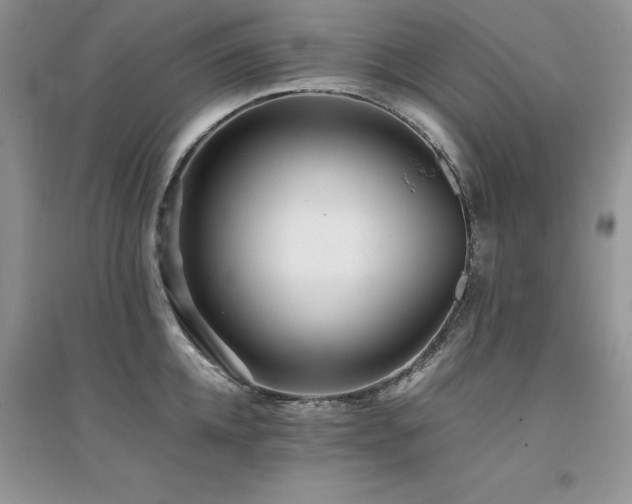 X0000094970952200711291500
