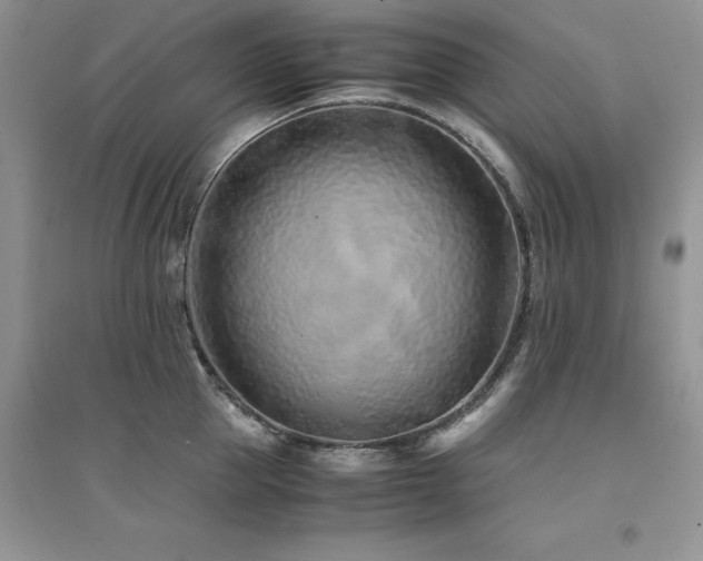 X0000094970953200711291500