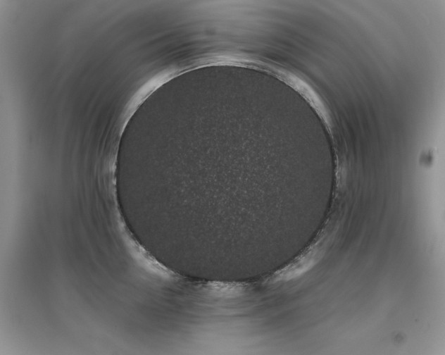 X0000094970954200711291500
