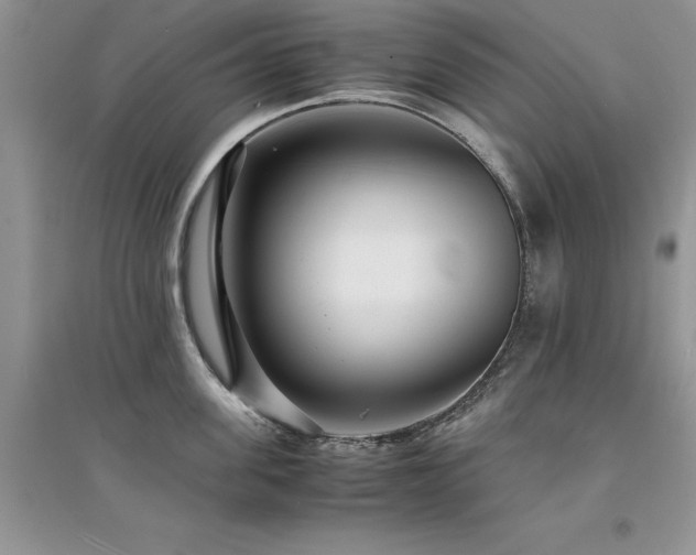 X0000094970955200711291500