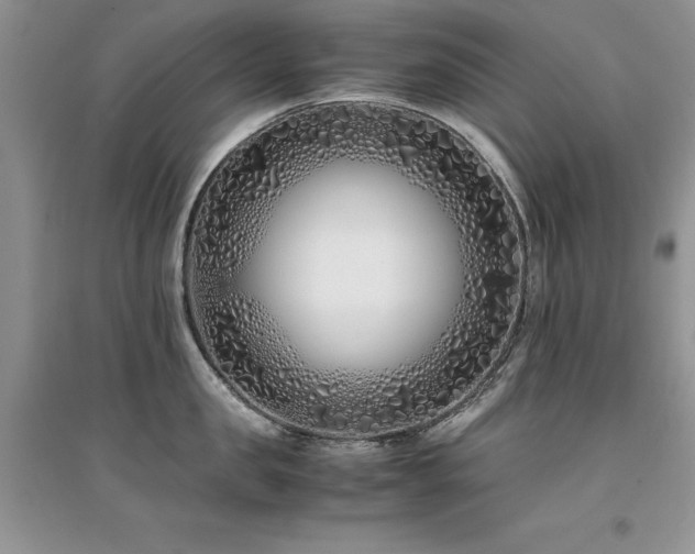 X0000094970957200711291500