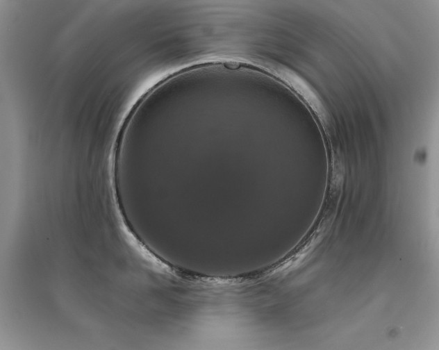 X0000094970958200711291500