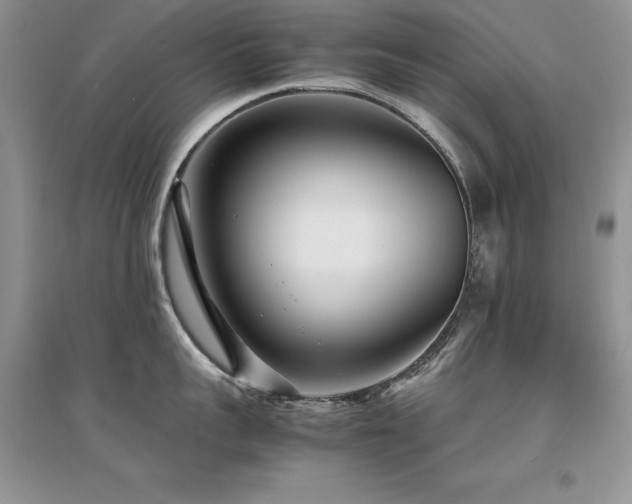 X0000094970959200711291500