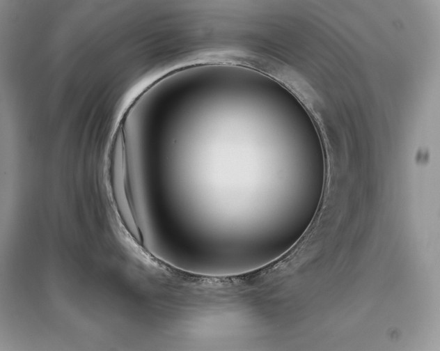 X0000094970960200711291500