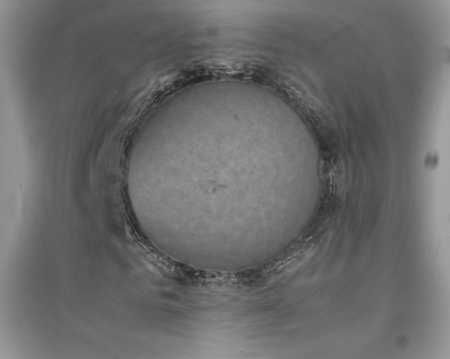 X0000094970961200711291500