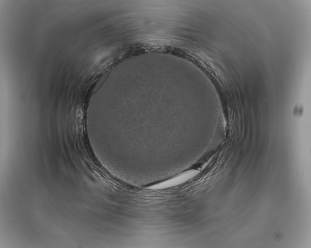 X0000094970964200711291500
