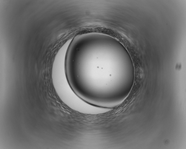 X0000094970965200711291500