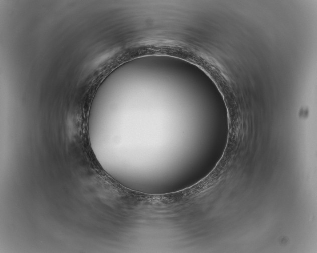 X0000094970966200711291500