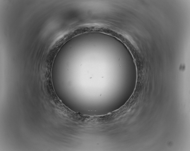 X0000094970967200711291500