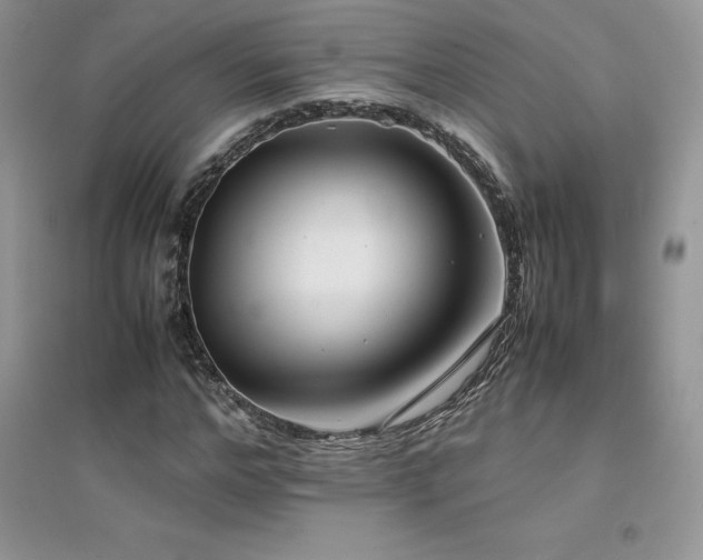 X0000094970968200711291500