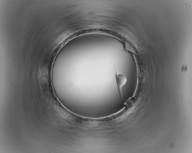 X0000094970969200711291500
