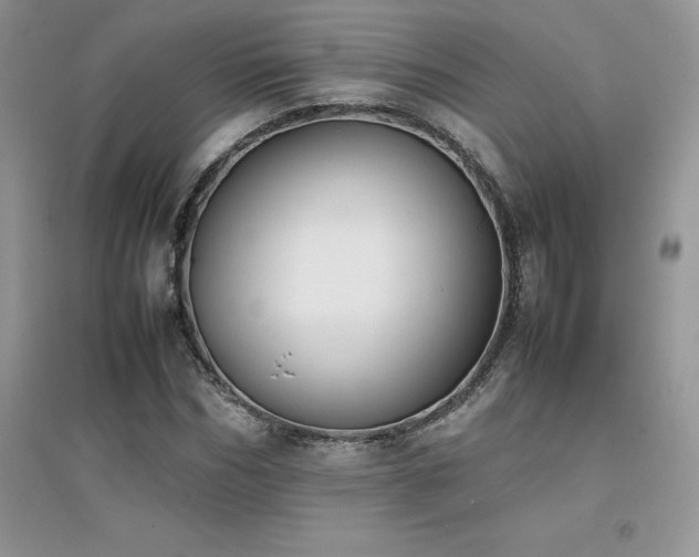 X0000094970970200711291500