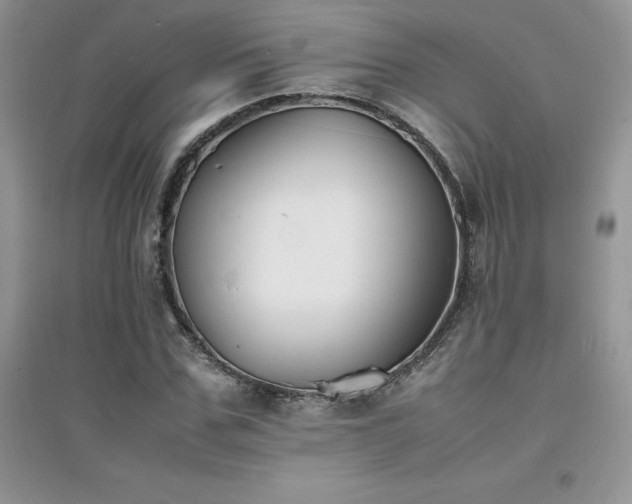 X0000094970971200711291500