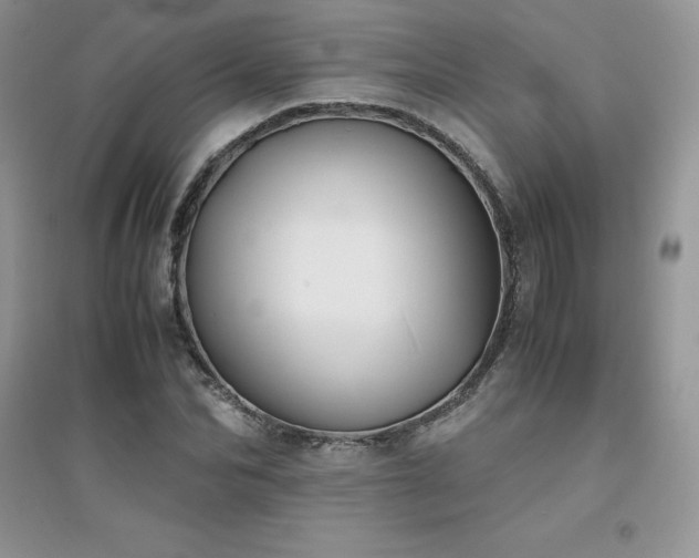 X0000094970974200711291500