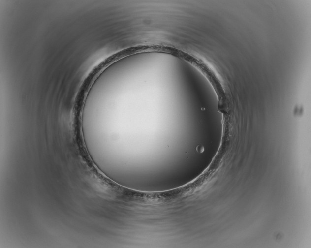 X0000094970975200711291500