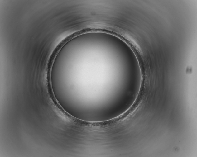 X0000094970976200711291500