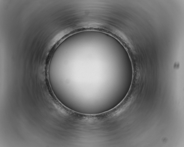 X0000094970978200711291500