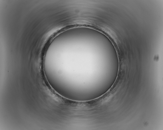 X0000094970979200711291500