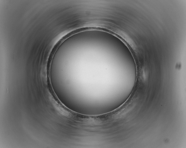 X0000094970980200711291459