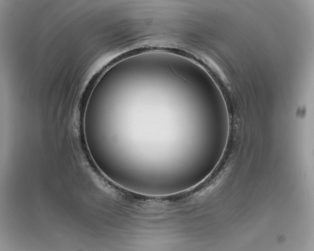 X0000094970981200711291459