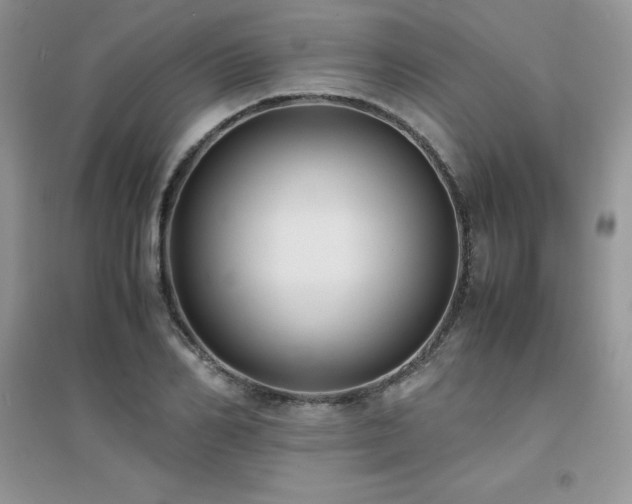X0000094970982200711291459