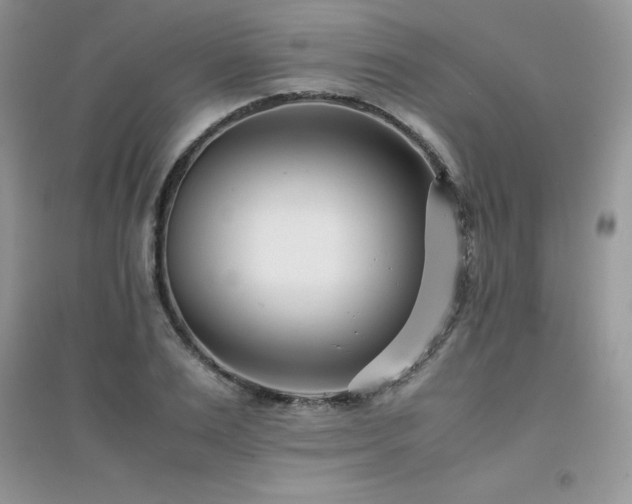 X0000094970983200711291459