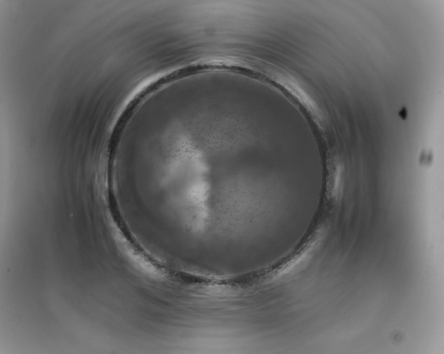 X0000094970984200711291459
