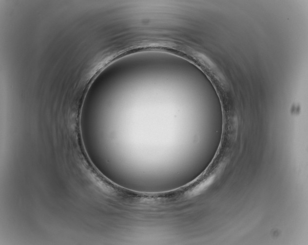 X0000094970985200711291459