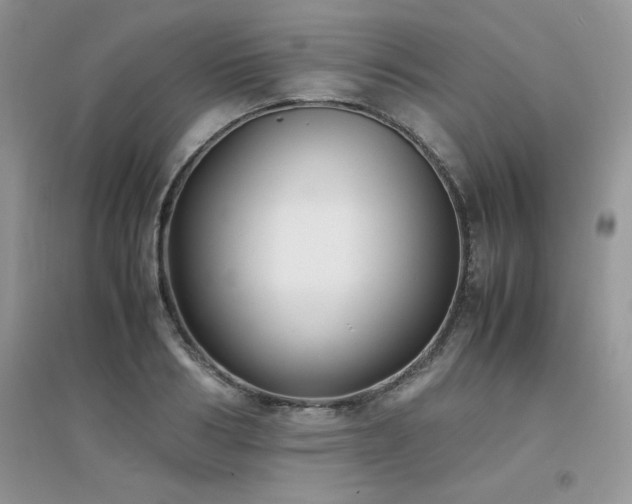 X0000094970986200711291459
