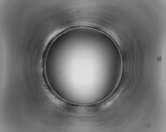 X0000094970987200711291459