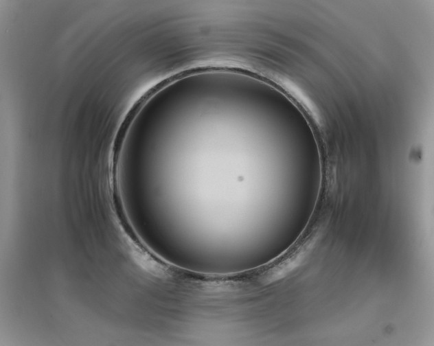 X0000094970988200711291459