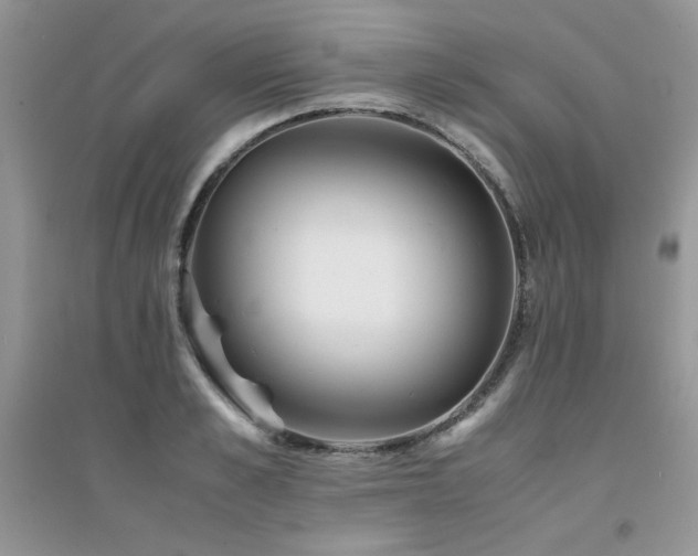 X0000094970989200711291459
