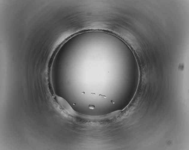 X0000094970990200711291459