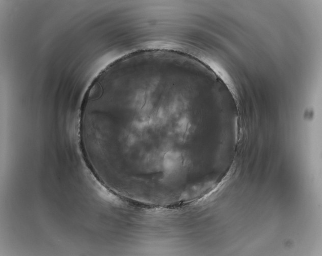 X0000094970992200711291459