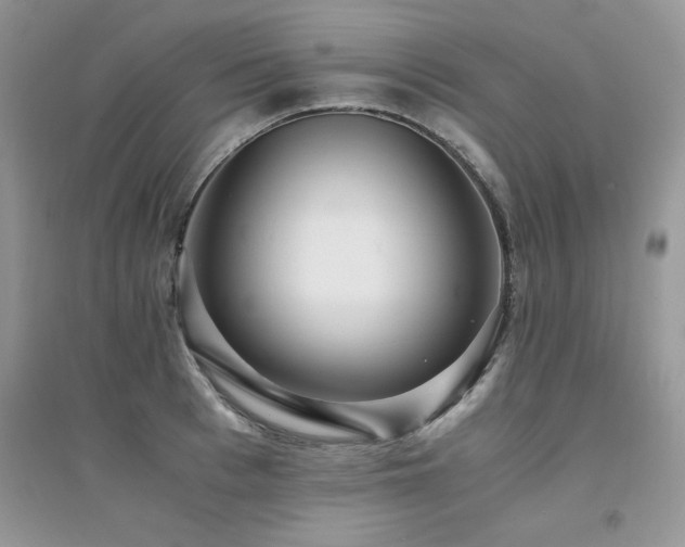 X0000094970993200711291459