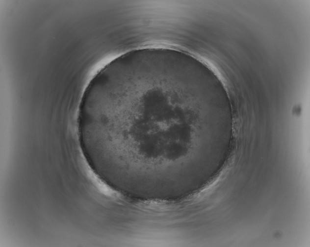 X0000094970995200711291459