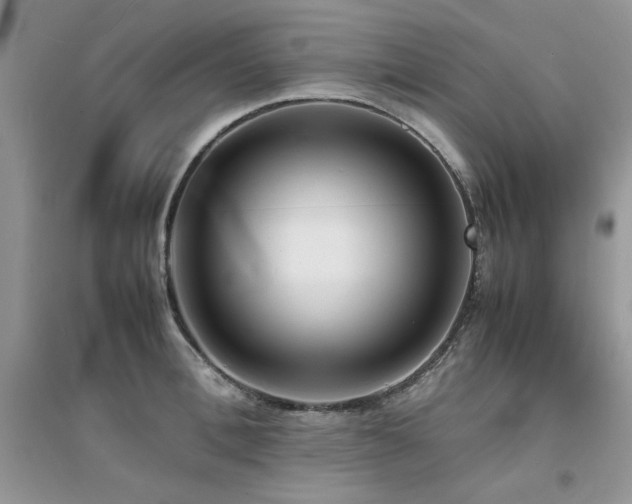 X0000094970996200711291459