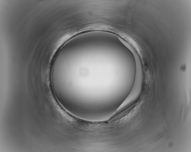 X0000094970997200711291459
