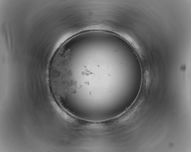 X0000094970998200711291459