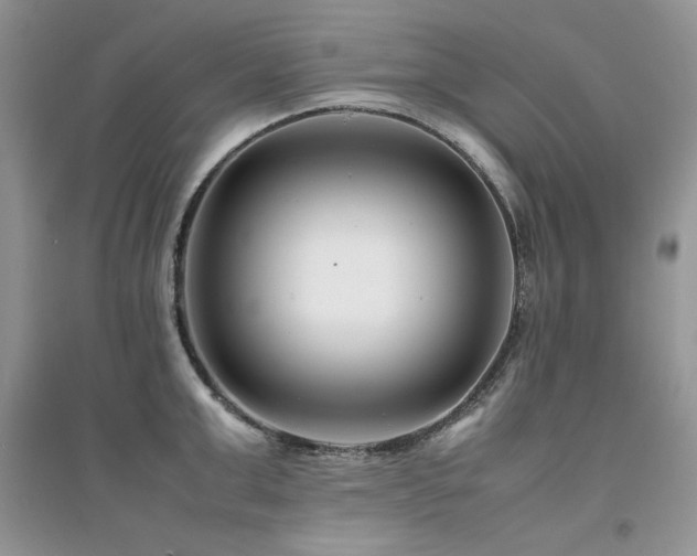 X0000094970999200711291459