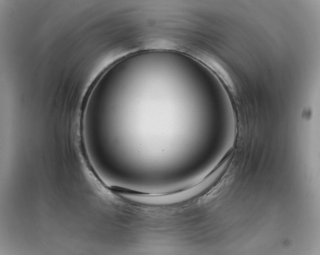 X0000094971000200711291459