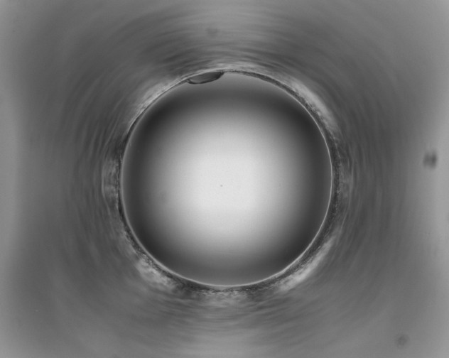 X0000094971001200711291459