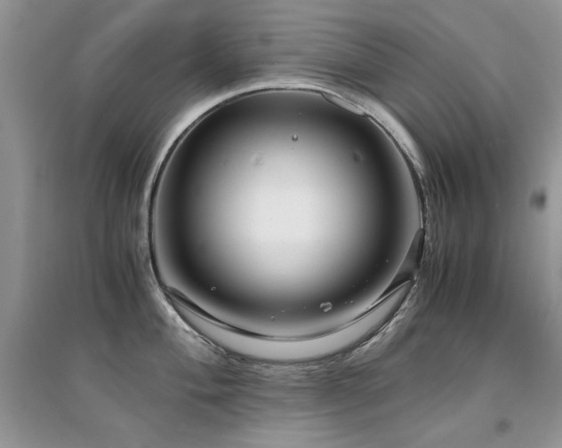 X0000094971004200711291459