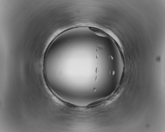 X0000094971005200711291459