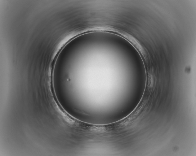 X0000094971006200711291459