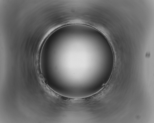 X0000094971008200711291459